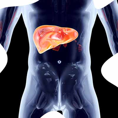 Some Severe Medical Conditions that Impact the Liver Veins_www.bharathomeopathy.com