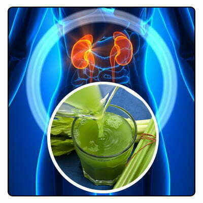 Homeopathic Approach in kidney detox drinks:_www.bharathomeopathy.com