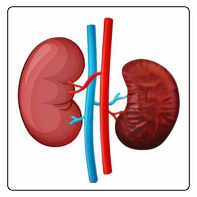 Can kidney shrinkage be cured?